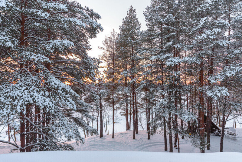 8b7c51cfc0c436097773b1f692e2f918_1050x600