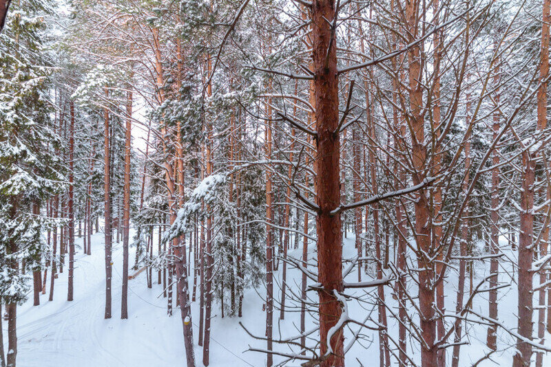 289bd67c540995999feca187f1a381f1_1050x600