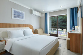 Standard Promo 2-местный 1-комнатный, Отель Alean Family Resort & Spa Sputnik, Сочи