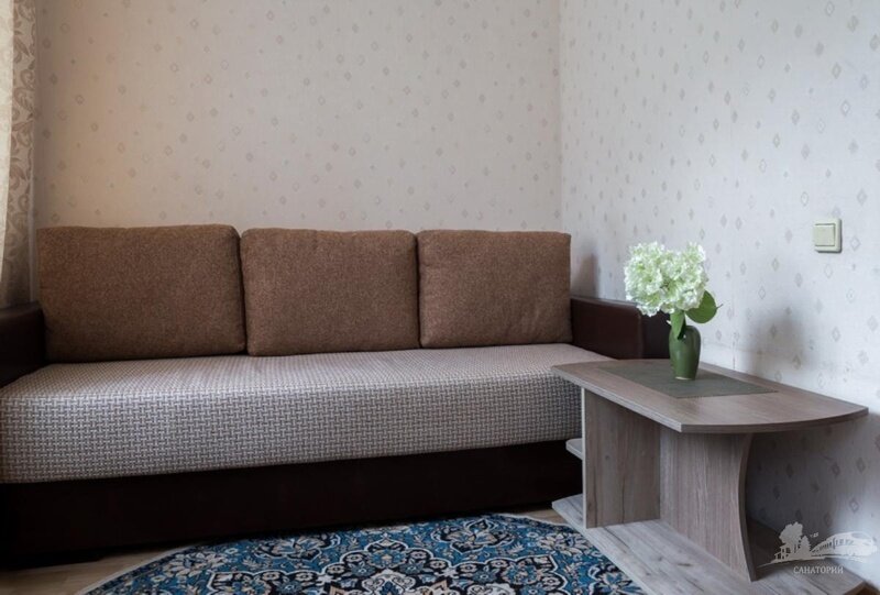 Полулюкс 1-местный Single (корпус 2)