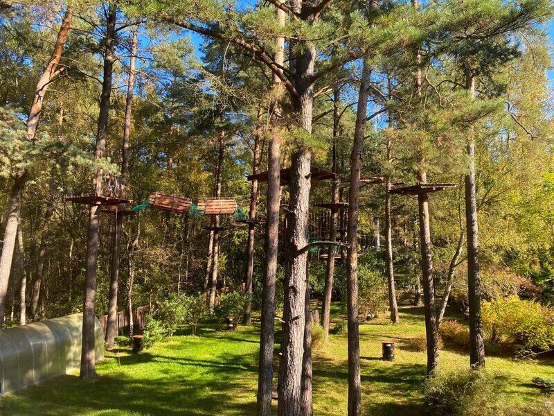 Улучшенный 2-местный 1-комнатный (13)