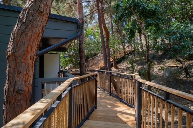 Бунгало Family-connection 4-местный 2-комнатный (1)