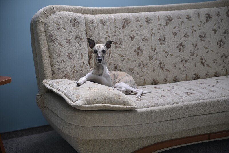 Полулюкс 2-местный (без балкона №3,8)