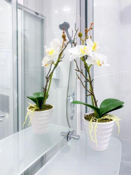 Апартаменты 2-местный (Меркурий)