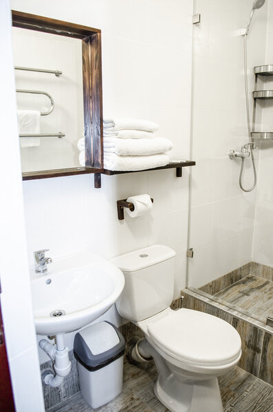 Стандартный 2-местный 1-комнатный (TWIN)