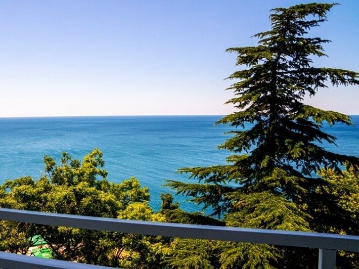 Люкс 2-местный 2-комнатный (вид на море, корпус № 1)