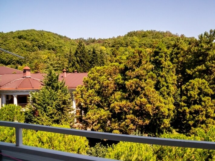 Стандартный 2-местный (вид на парк, корпус 1)