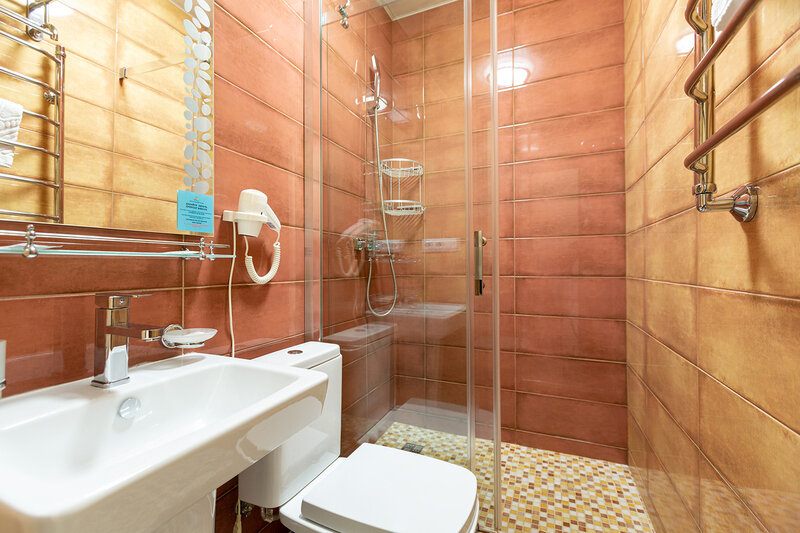 Стандартный 1-местный №202