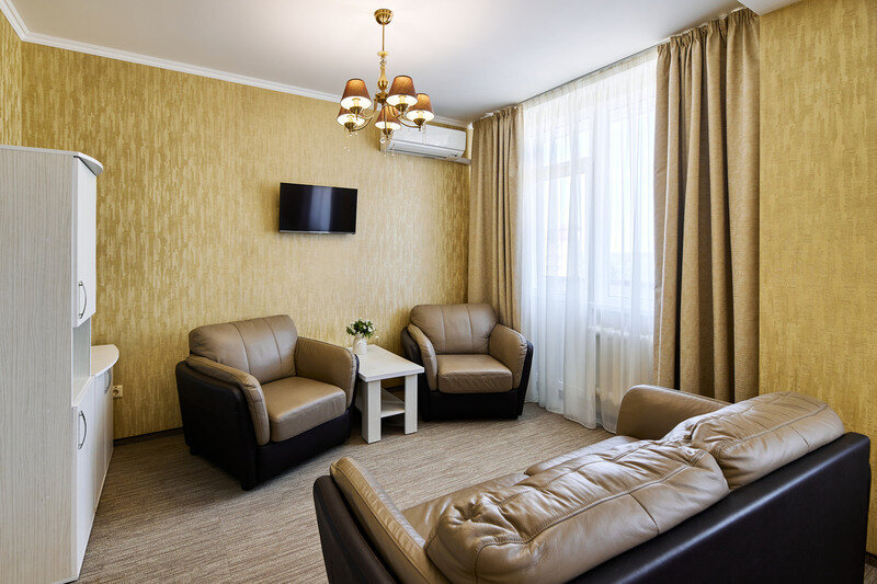 Люкс 1-местный 1-комнатный (Главный корпус)