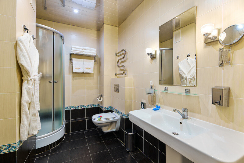 Люкс 1-местный 1-комнатный (Главный корпус)