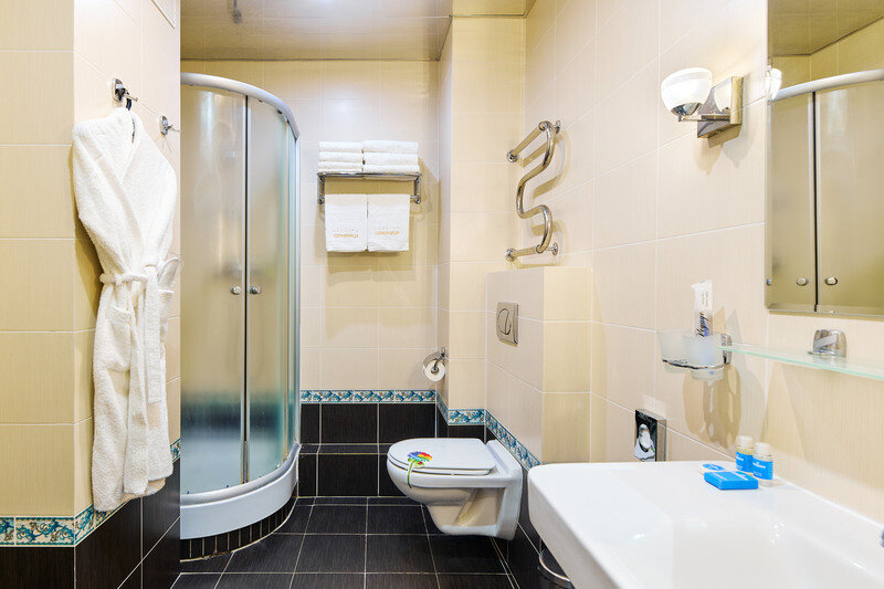 Люкс 1-местный 1-комнатный (Главный корпус)