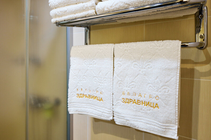 Люкс 1-местный 1-комнатный (Главный корпус)