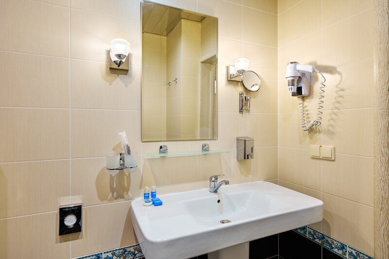 Люкс 1-местный 1-комнатный (Главный корпус)