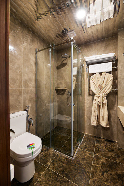 Повышенной Комфортности плюс 1-местный 1-комнатный (корпус № 4 Junior Suite)