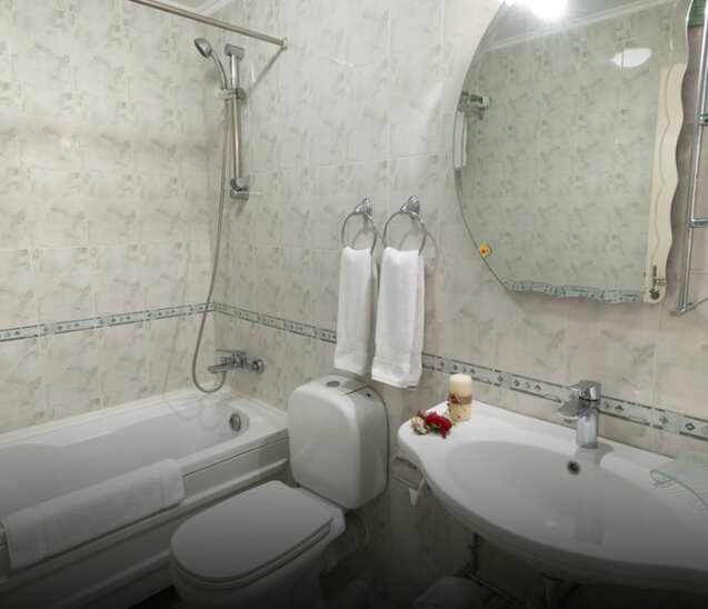 Бизнес SGL Ani king