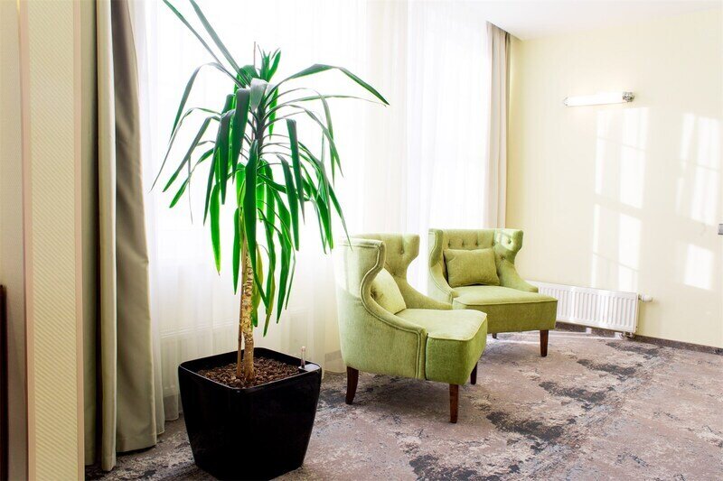 Сюит Бизнес 2-местный (с видом на реку и мост)