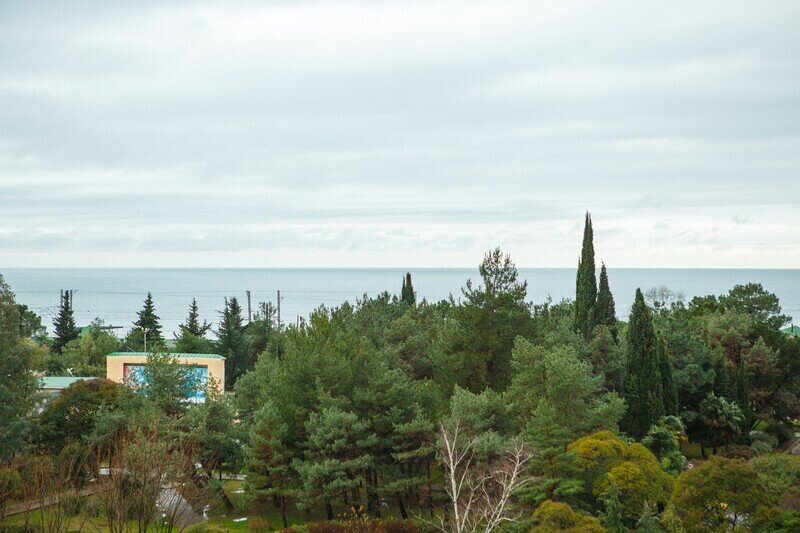 Стандарт вид на море (корпус 1)