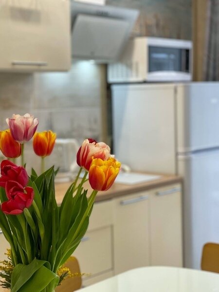 Апартаменты 4-местные 48