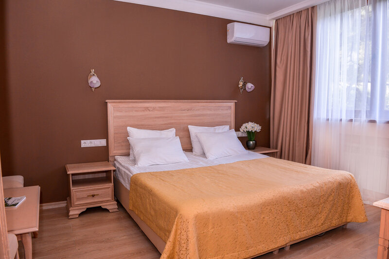 Стандартный 2-местный (без балкона, вид на парк, корпус 1)