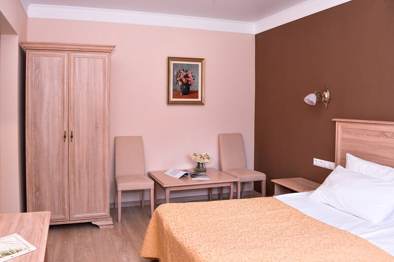 Стандартный 2-местный (без балкона, вид на парк, корпус 1)