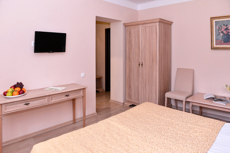 Стандартный 2-местный (без балкона, вид на парк, корпус 1)