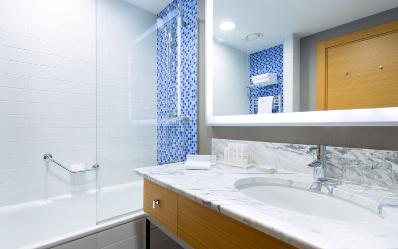 Представительский 2-местный с видом на горы