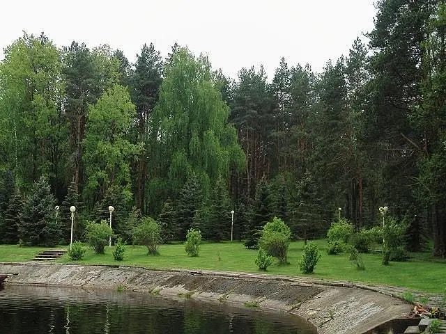 Дом лесника, Орловская область: фото 4