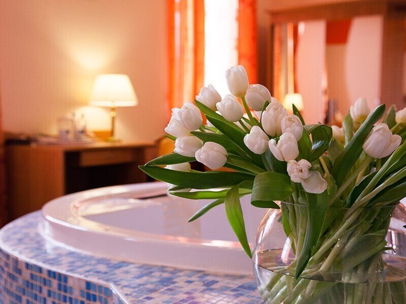 Люкс 2-местный (Апельсин)