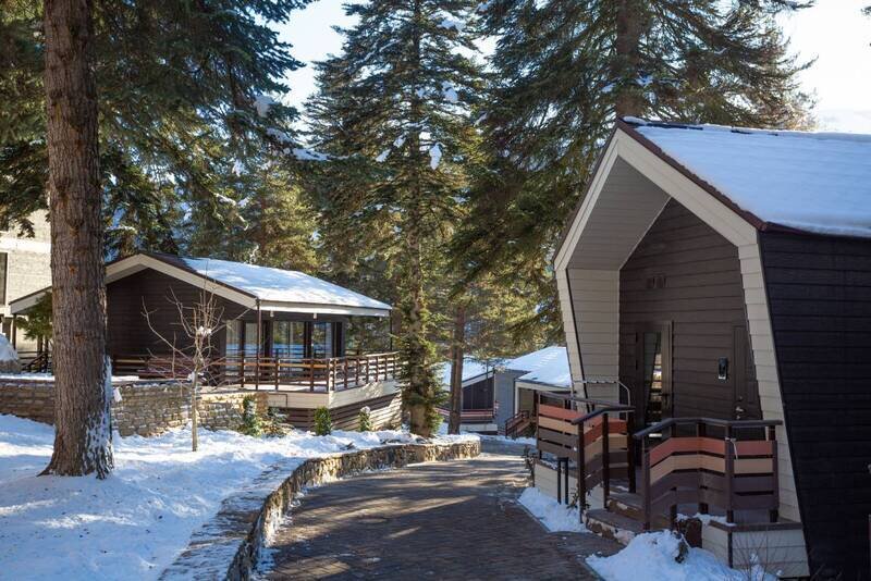 Вилла Premier 2-местный 1-комнатный