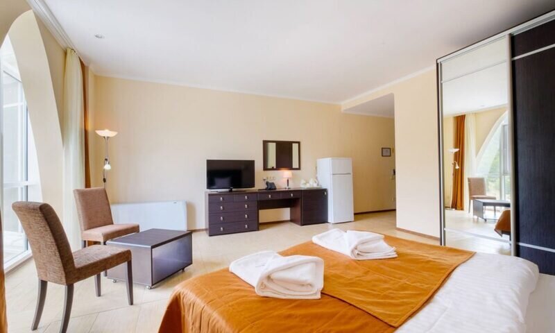 Стандартный 2-местный вид на горы (4)