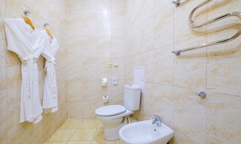 Стандартный 2-местный вид на горы (3)