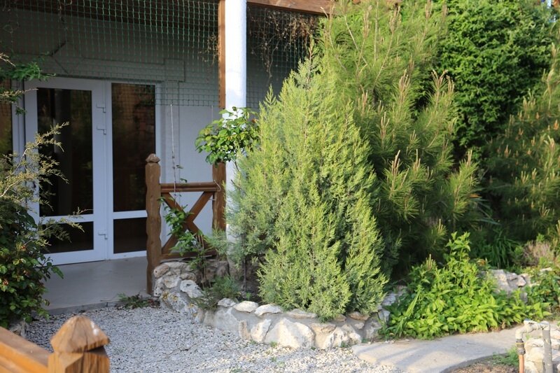 Апартаменты VIP 4-местный 1-комнатный (6)