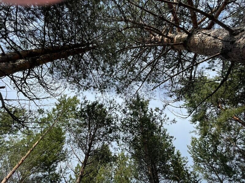 Вилла 6-местная (TALO)