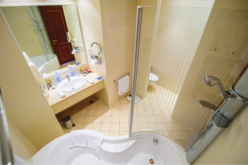 Люкс 2-местный (с видом на горы)