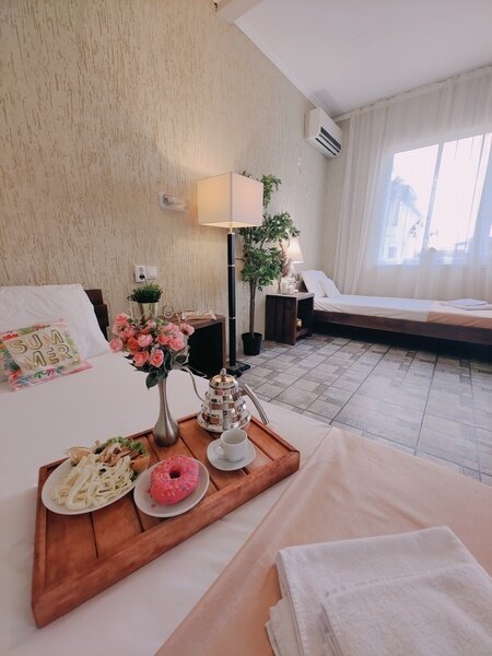 Полулюкс 2-местный (вид на территорию)