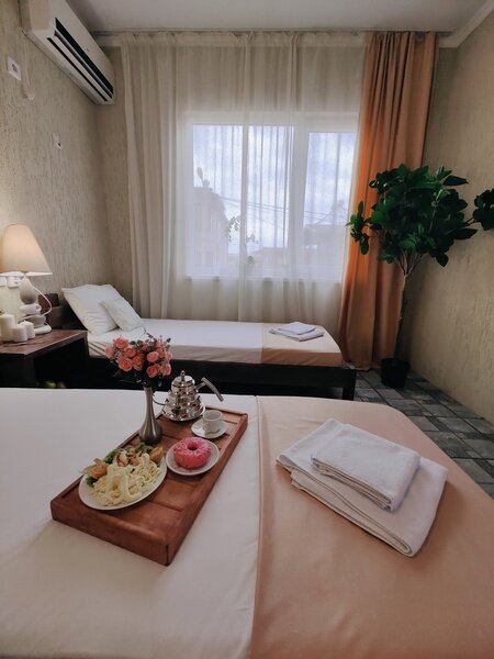 Стандартный 3-местный (вид на территорию)