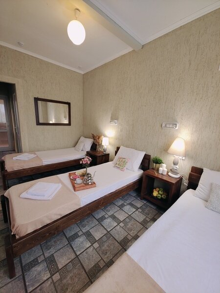 Стандартный 3-местный (вид на территорию)