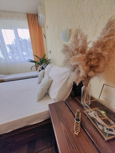 Стандартный 3-местный (вид на территорию)