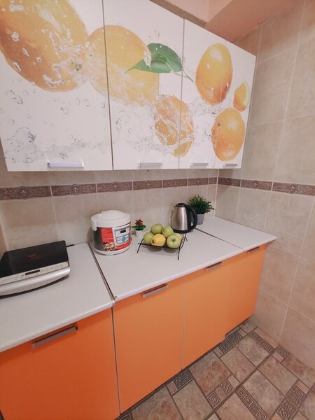 Студио 5-местный (с мини-кухней, вид на территорию)