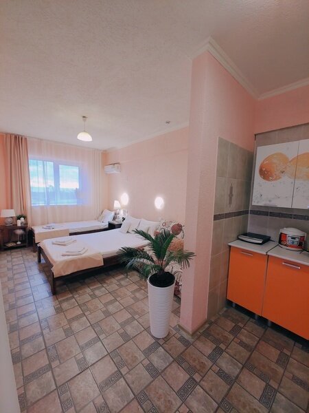 Студио 5-местный (с мини-кухней, вид на территорию)