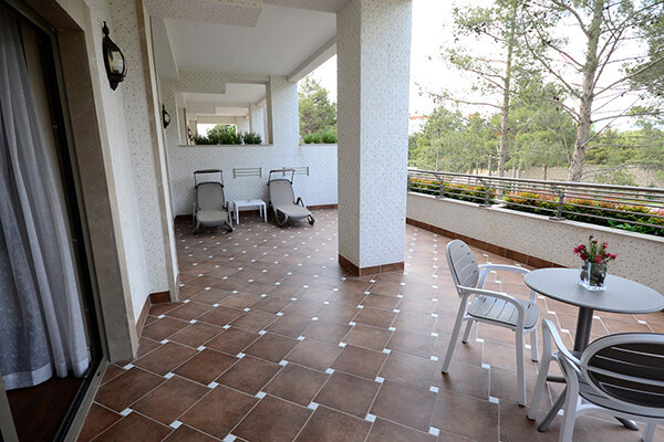 Suite 1-местный (Senior)