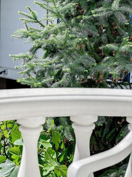 Стандартный 2-местный (с балконом)