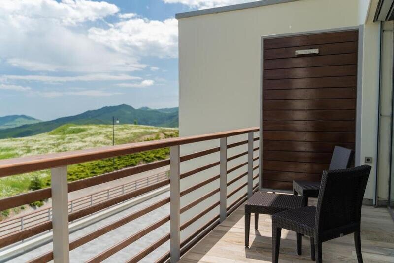 Studio 2-местный (apartment)