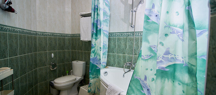 Люкс 2-местный (семейный)