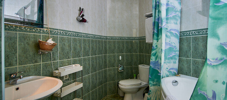 Люкс 2-местный (семейный)