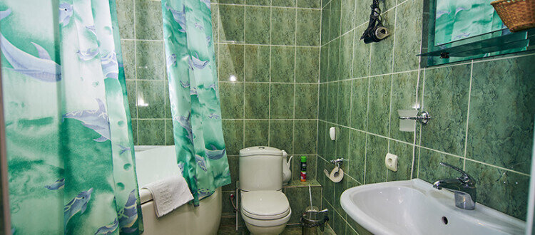 Полулюкс 2-местный