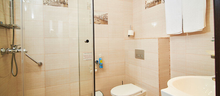 Полулюкс 2-местный