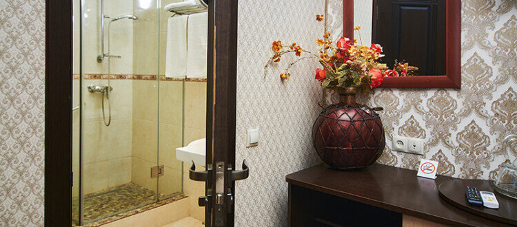 Полулюкс 2-местный (205)