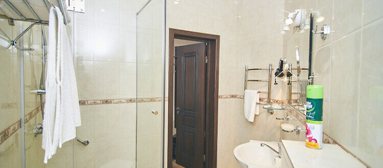 Полулюкс 2-местный (206)