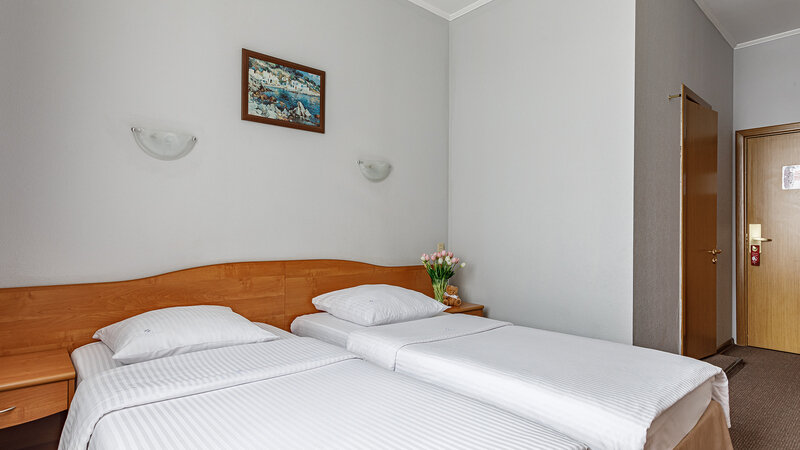 Стандартный 2-местный Twin